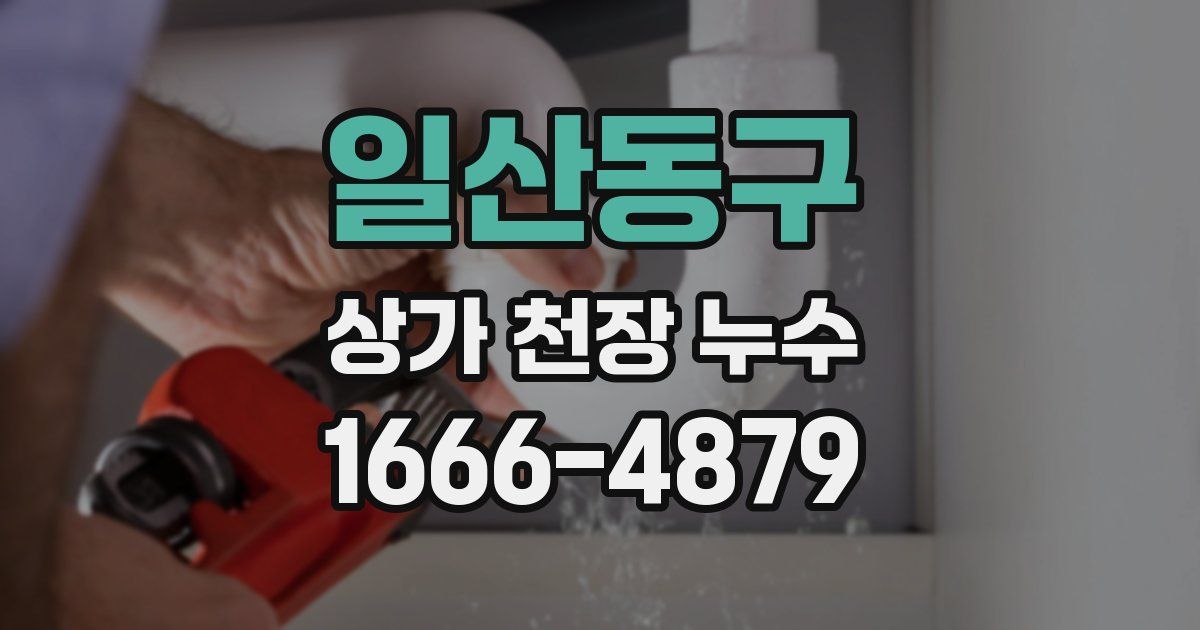 일산동구 상가 천장 누수