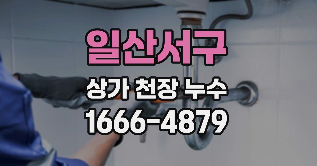 일산서구 상가 천장 누수