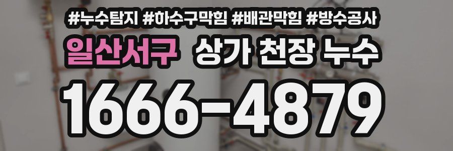 일산서구 상가 천장 누수