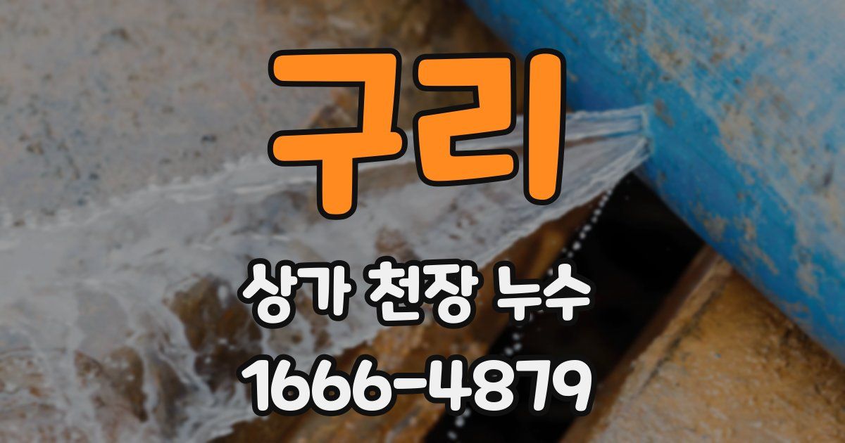 구리 상가 천장 누수
