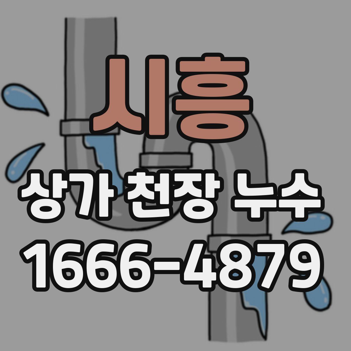 시흥 상가 천장 누수