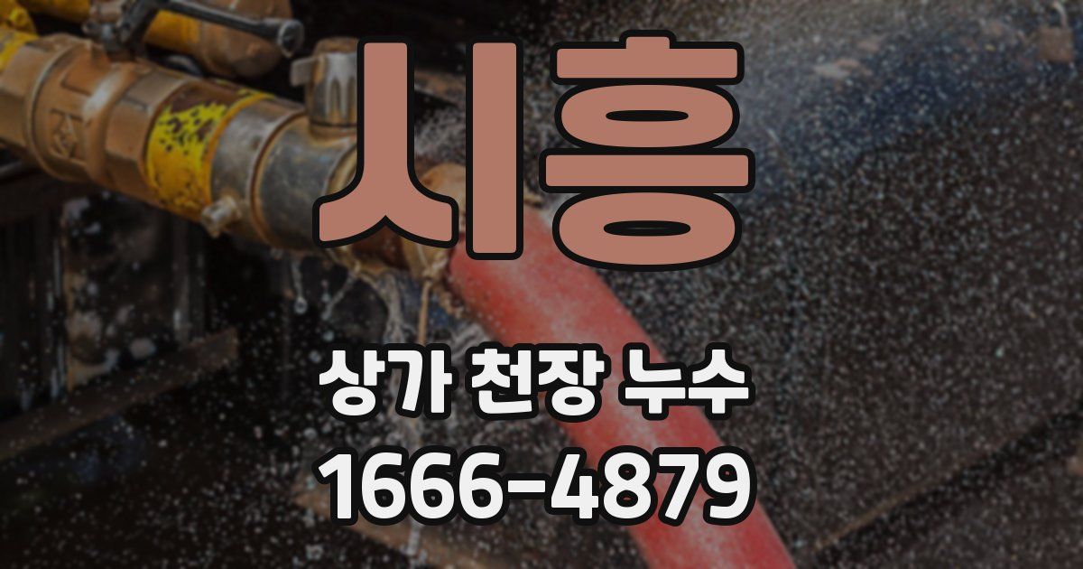 시흥 상가 천장 누수