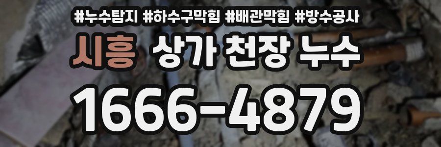 시흥 상가 천장 누수