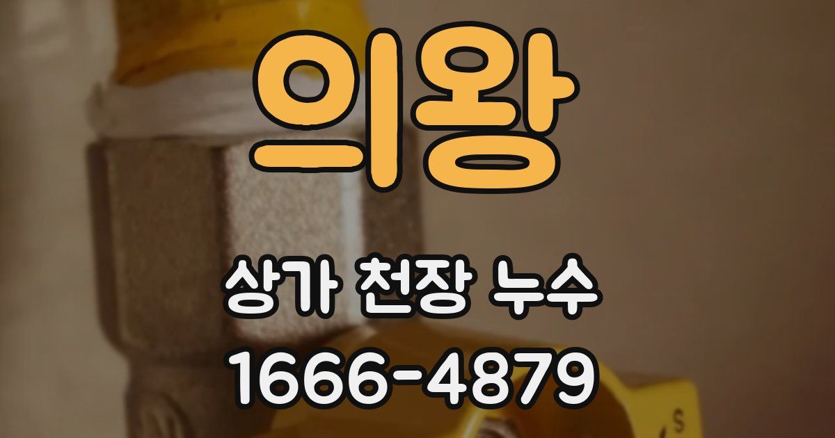 의왕 상가 천장 누수