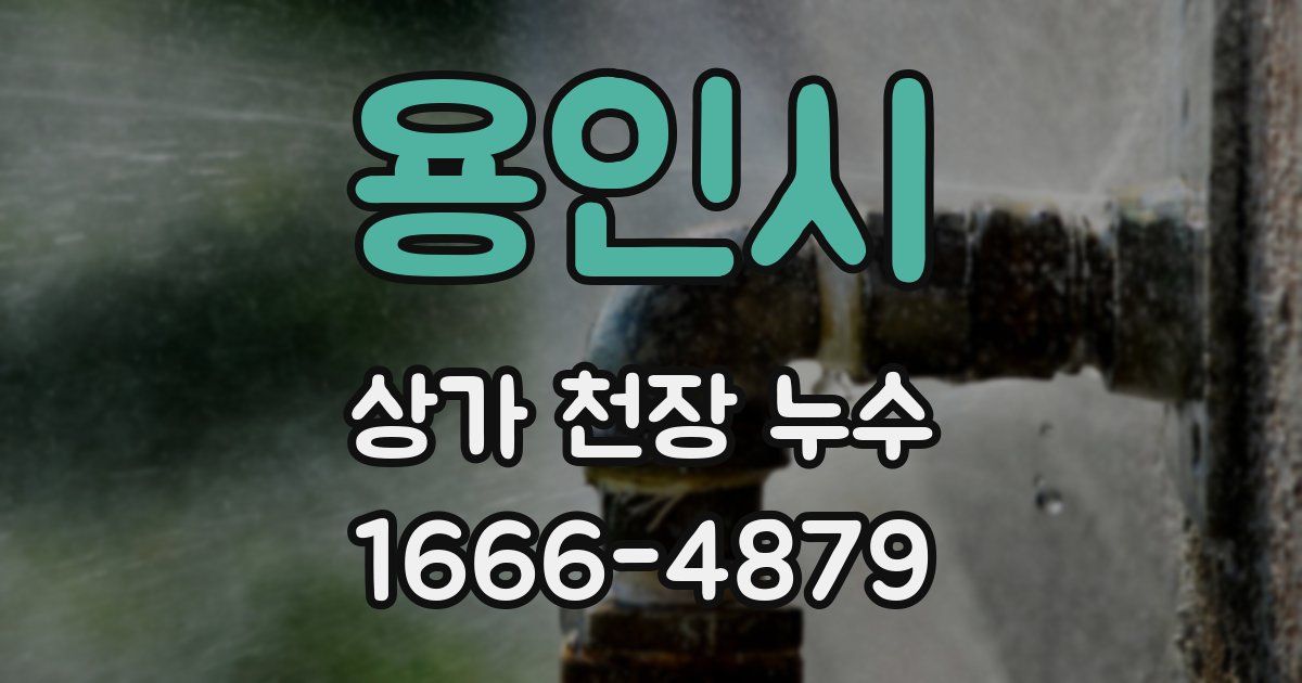 용인시 상가 천장 누수