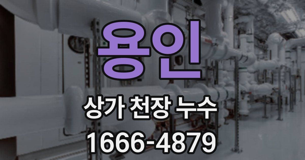 용인 상가 천장 누수
