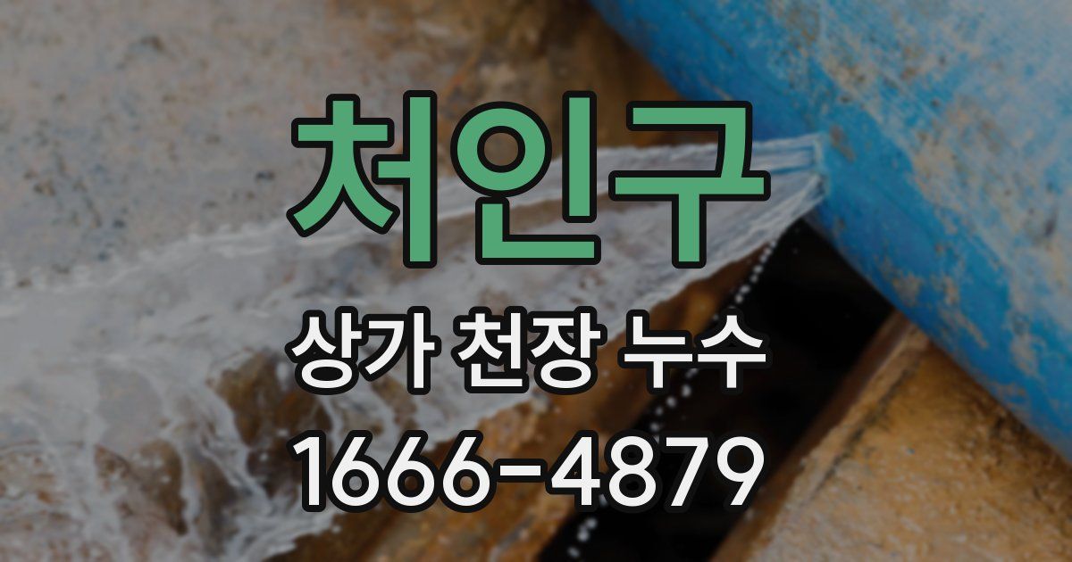 처인구 상가 천장 누수
