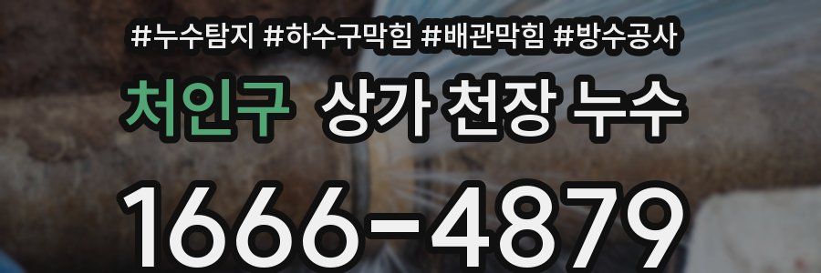 처인구 상가 천장 누수