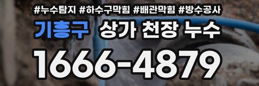 기흥구 상가 천장 누수