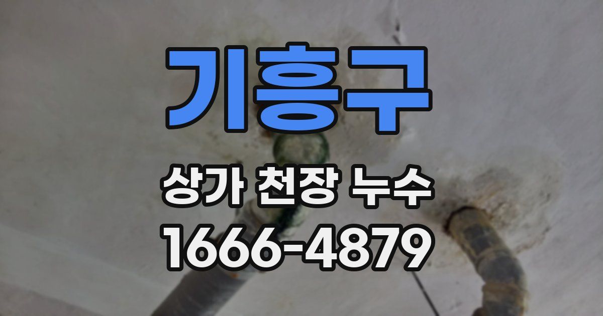 기흥구 상가 천장 누수