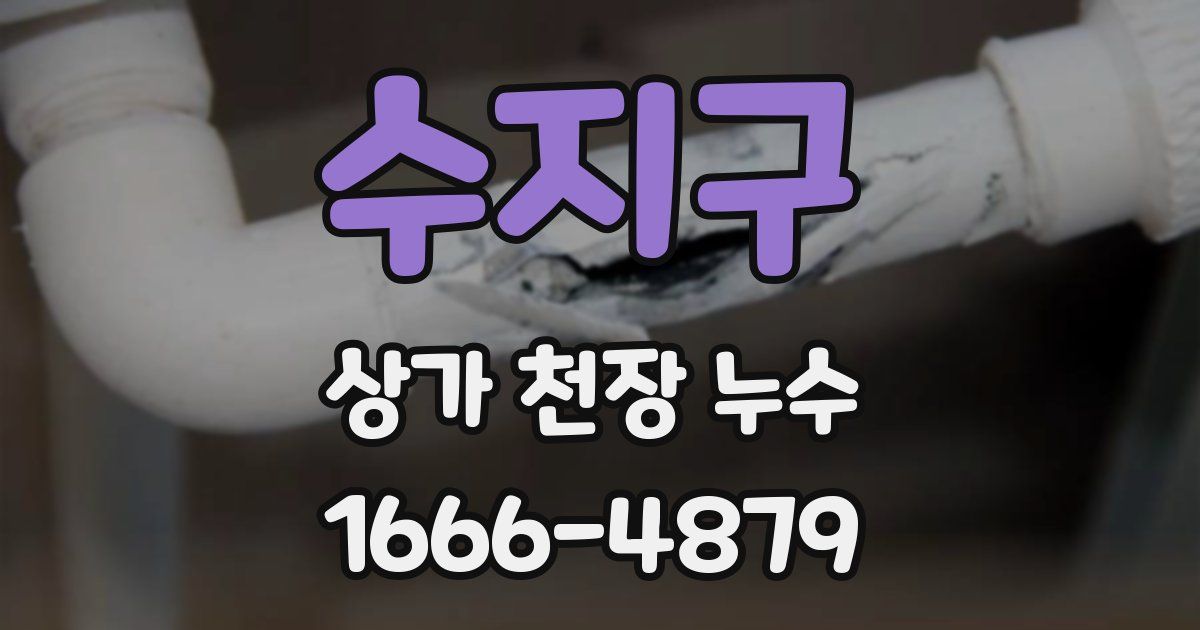 수지구 상가 천장 누수