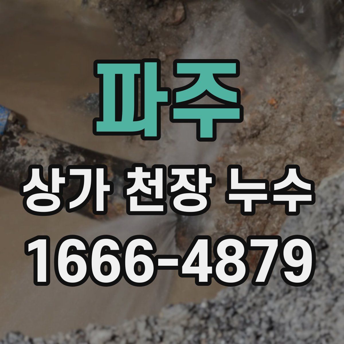 파주 상가 천장 누수