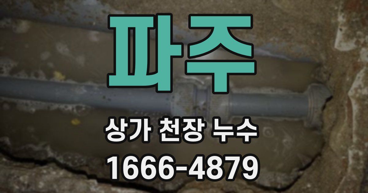 파주 상가 천장 누수