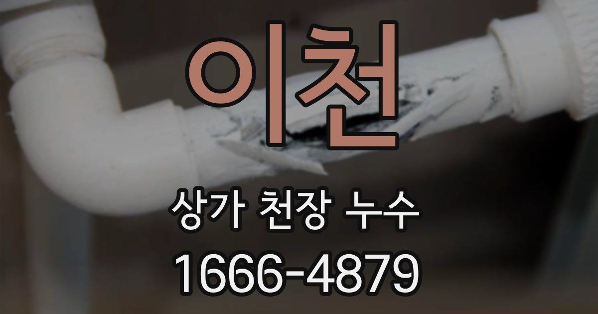 이천 상가 천장 누수