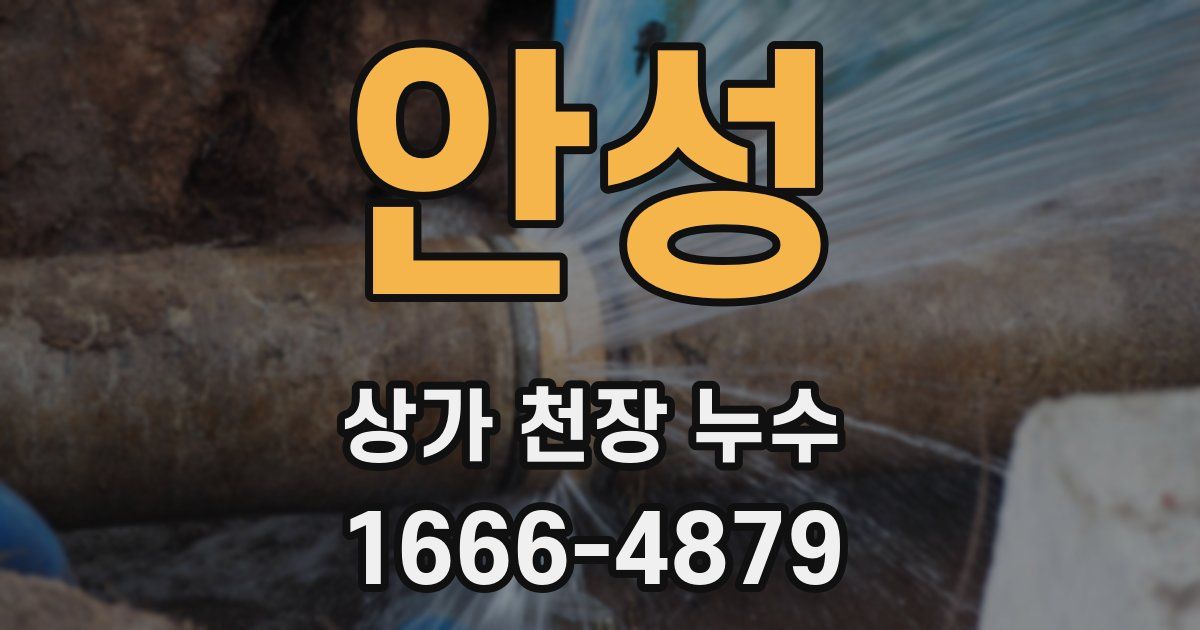 안성 상가 천장 누수