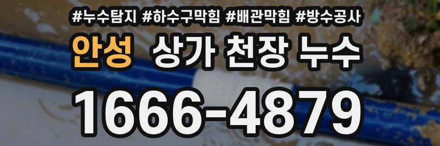 안성 상가 천장 누수