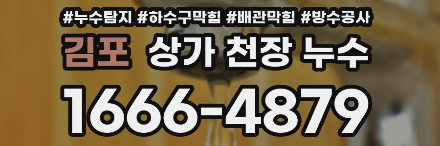 김포 상가 천장 누수