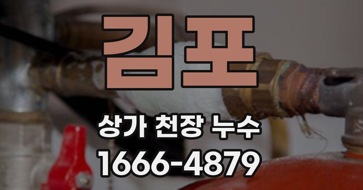 김포 상가 천장 누수