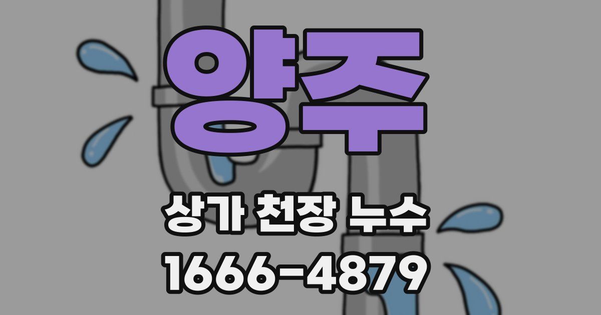양주 상가 천장 누수