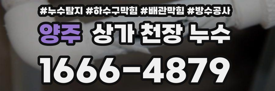 양주 상가 천장 누수