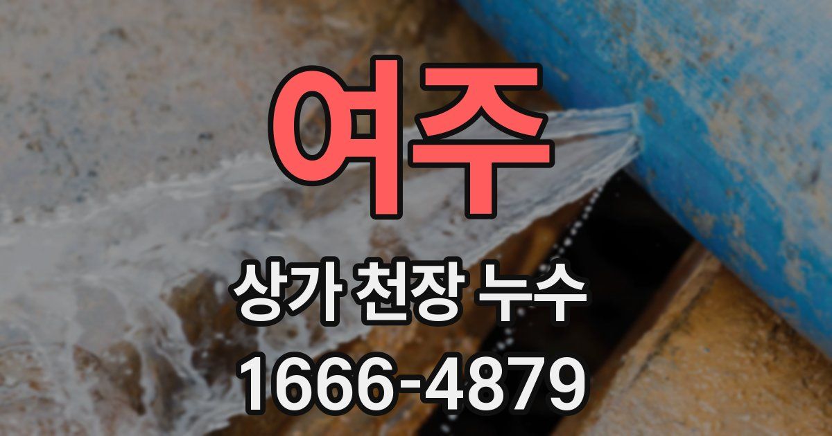 여주 상가 천장 누수