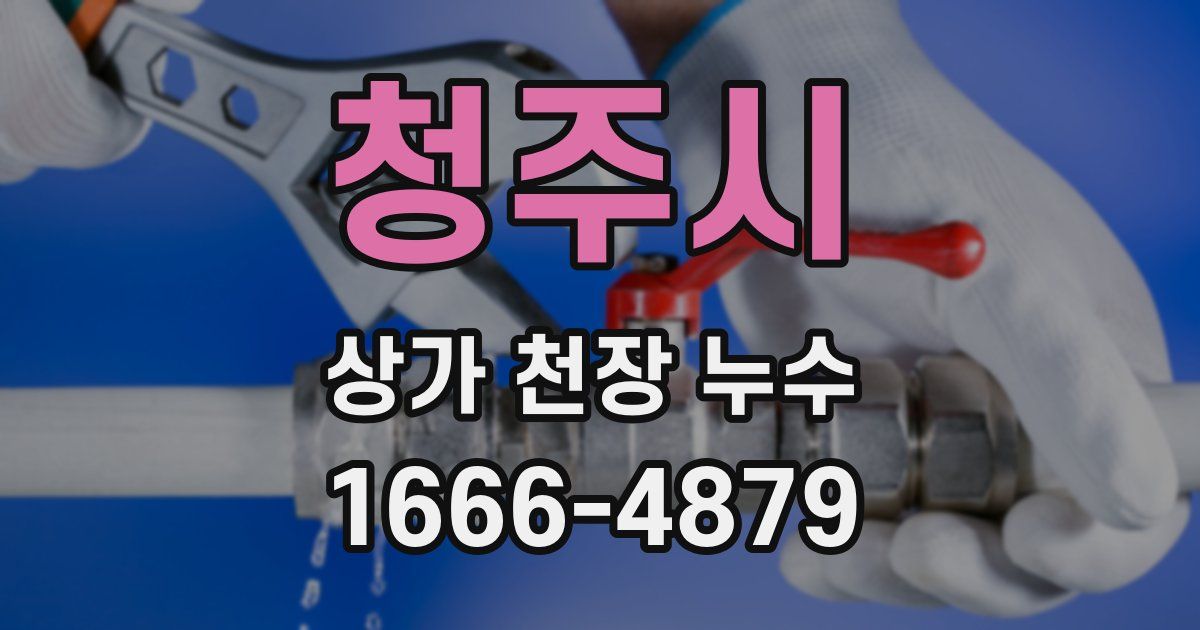 청주시 상가 천장 누수