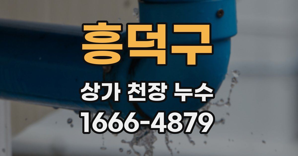 흥덕구 상가 천장 누수