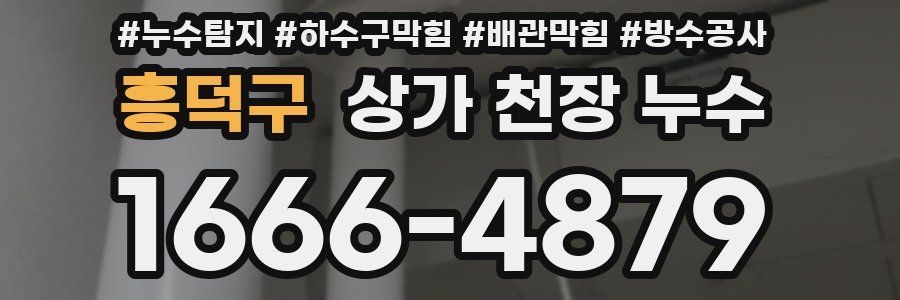 흥덕구 상가 천장 누수