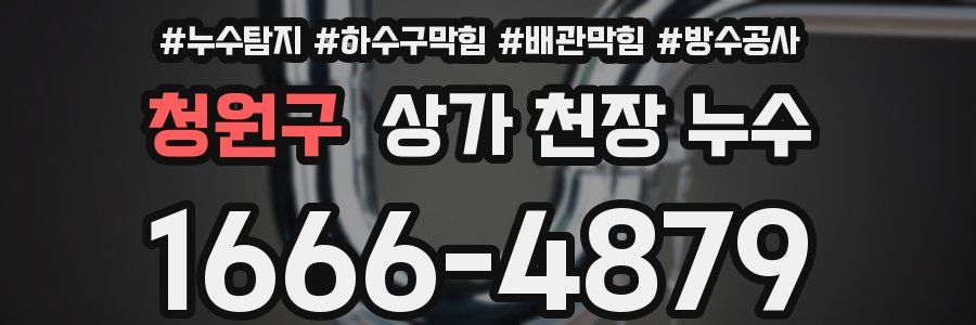 청원구 상가 천장 누수