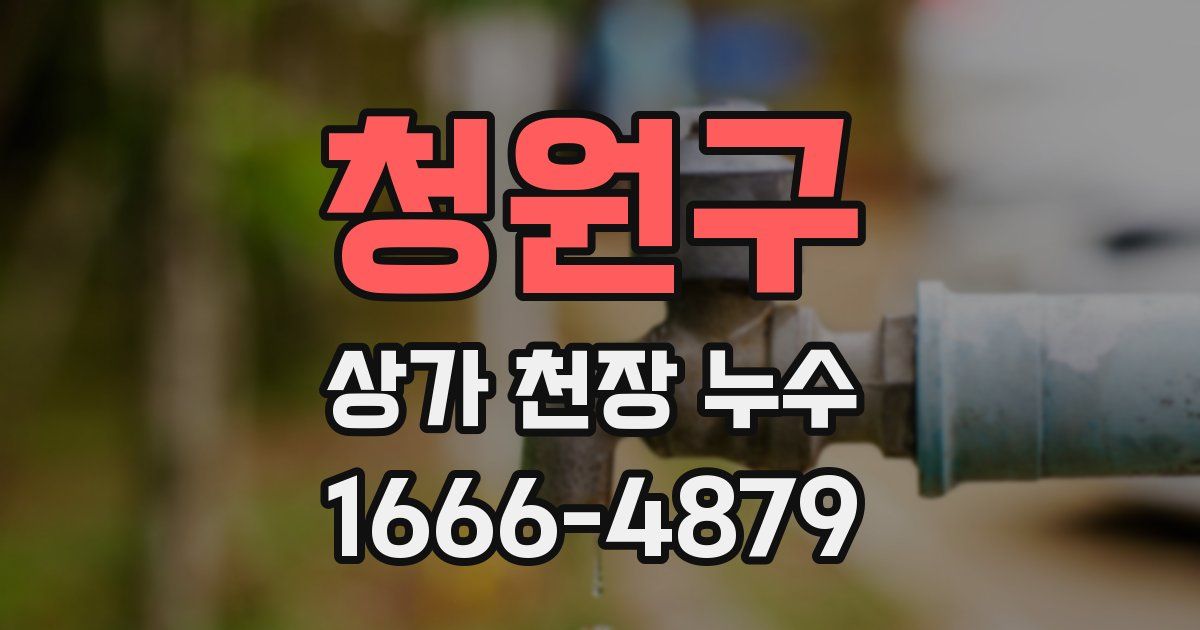 청원구 상가 천장 누수