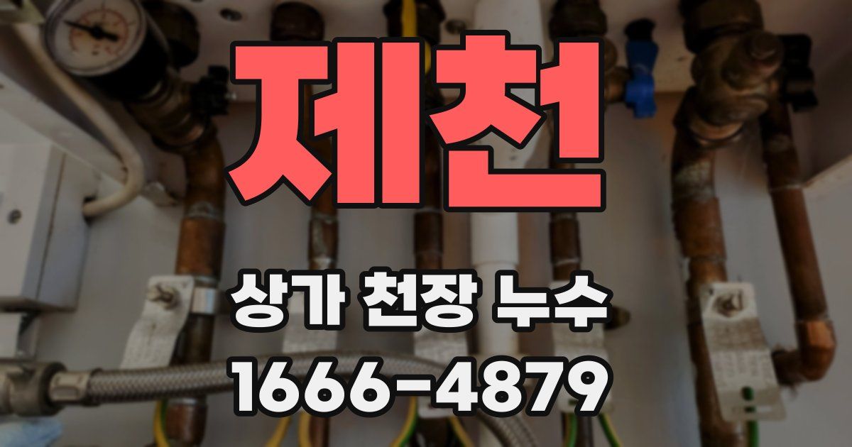 제천 상가 천장 누수
