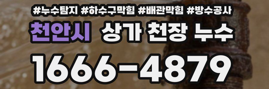 천안시 상가 천장 누수