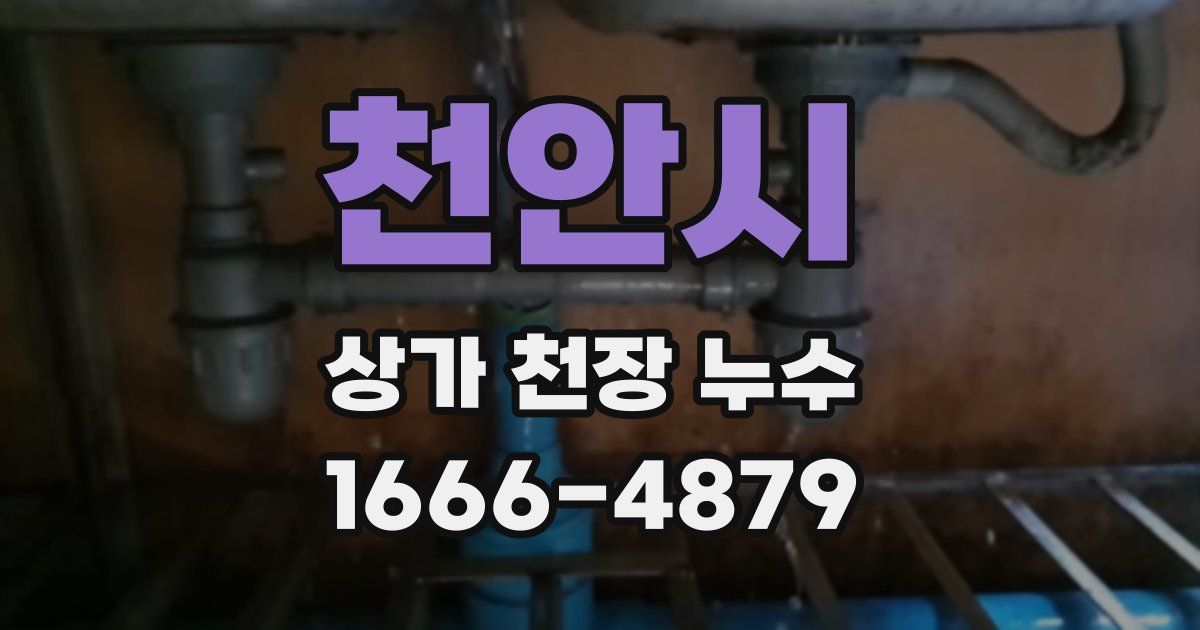 천안시 상가 천장 누수