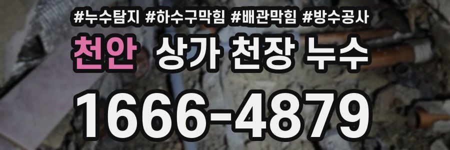 천안 상가 천장 누수