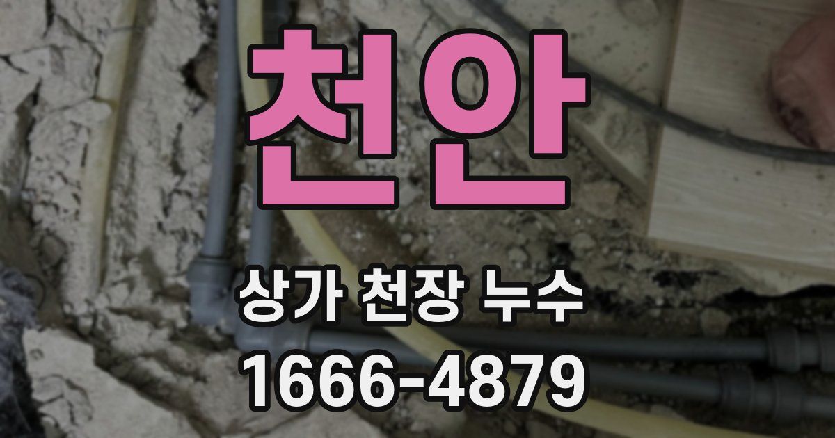 천안 상가 천장 누수