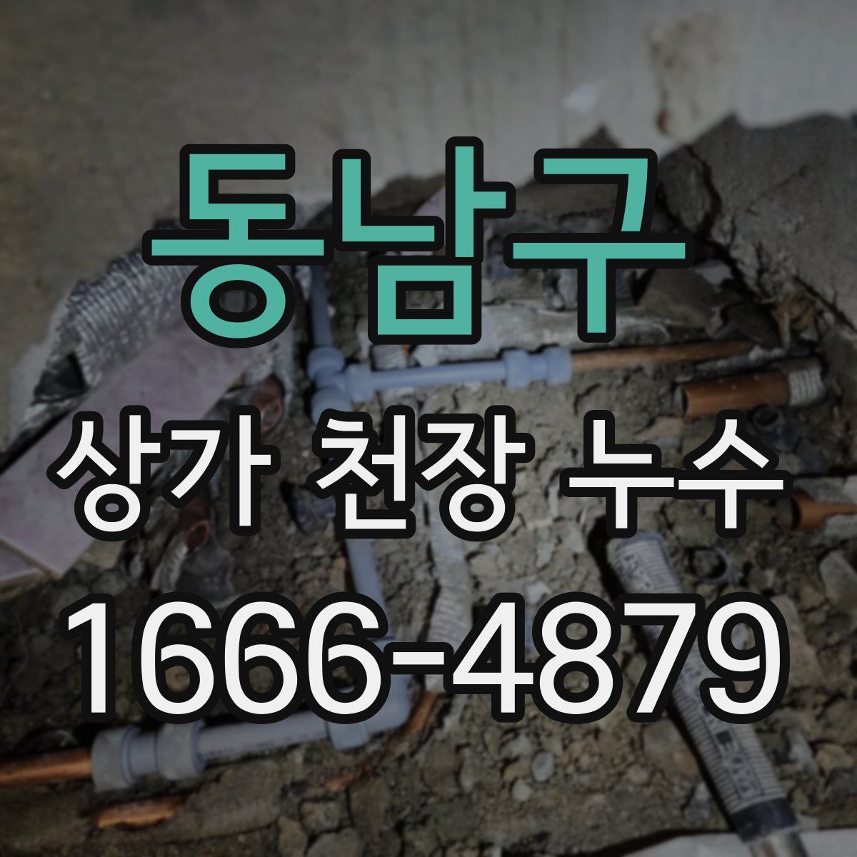 동남구 상가 천장 누수