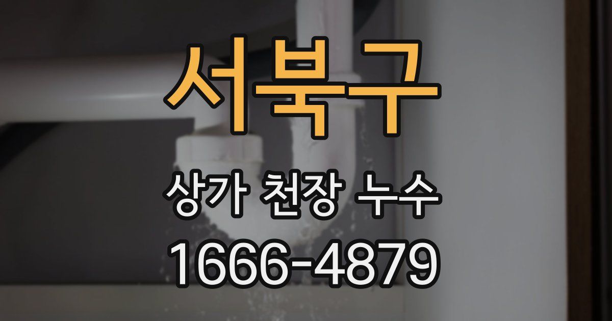서북구 상가 천장 누수