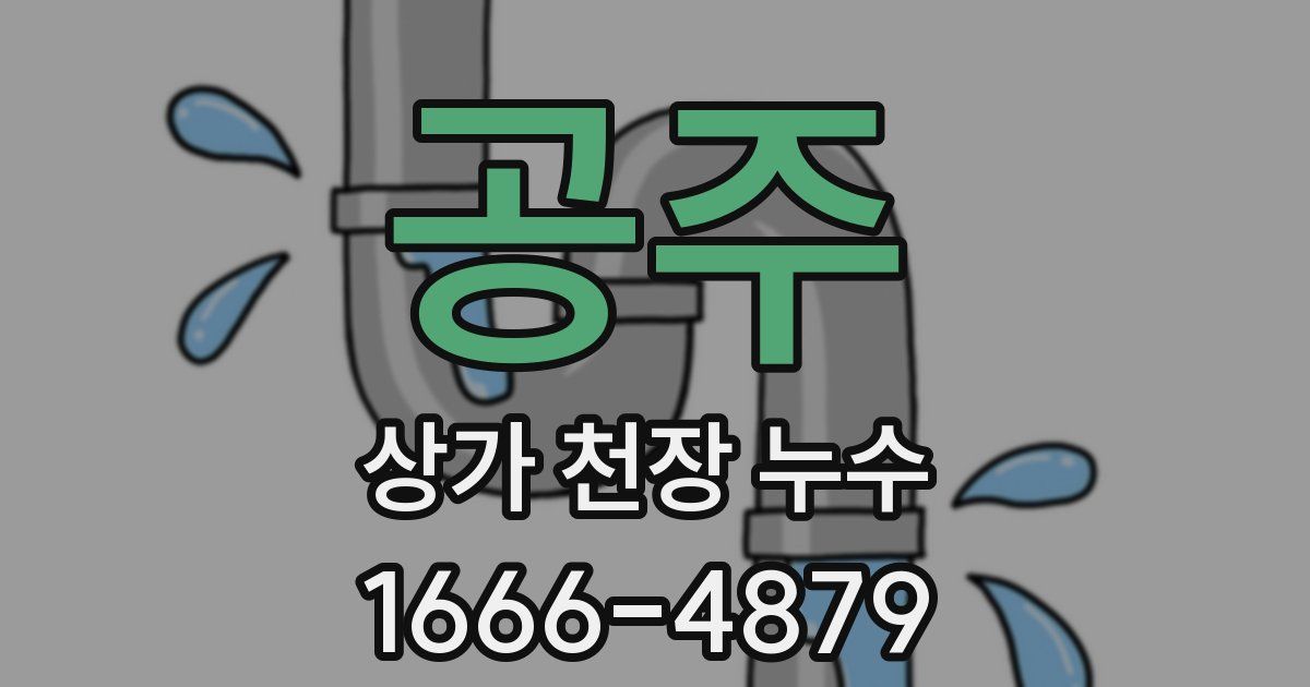 공주 상가 천장 누수