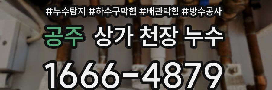 공주 상가 천장 누수