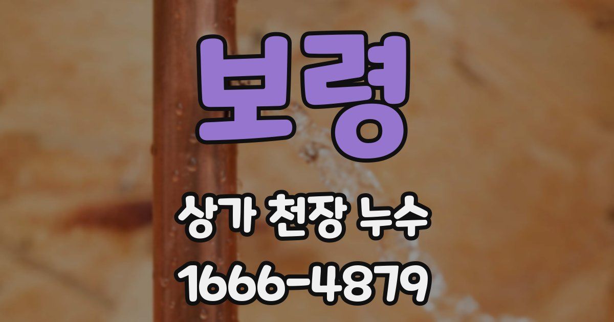 보령 상가 천장 누수