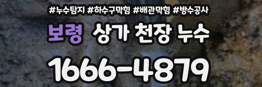 보령 상가 천장 누수