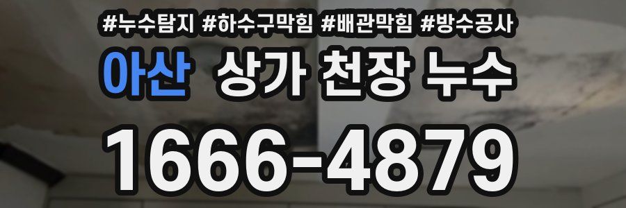 아산 상가 천장 누수