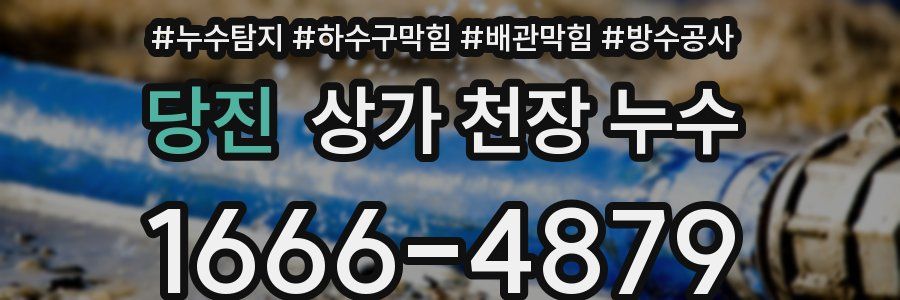 당진 상가 천장 누수