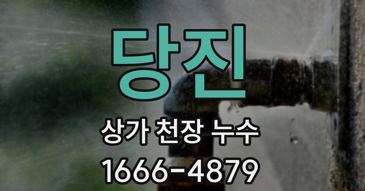 당진 상가 천장 누수