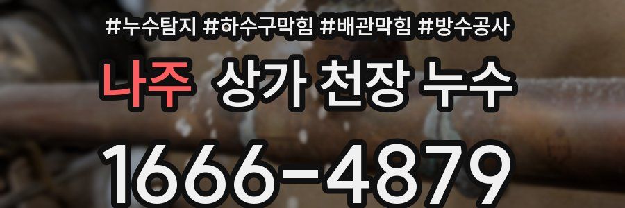 나주 상가 천장 누수