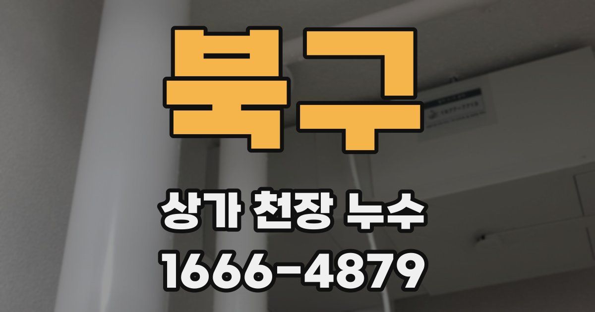 북구 상가 천장 누수