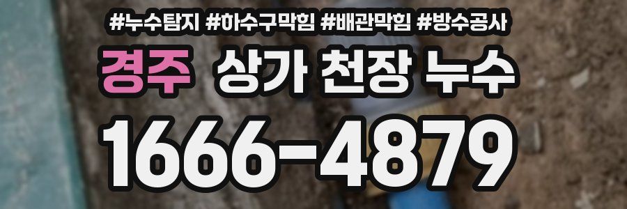 경주 상가 천장 누수