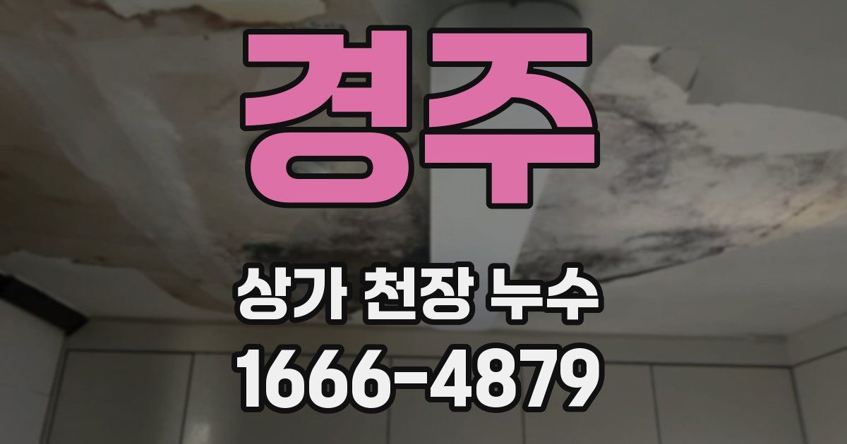 경주 상가 천장 누수