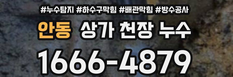 안동 상가 천장 누수