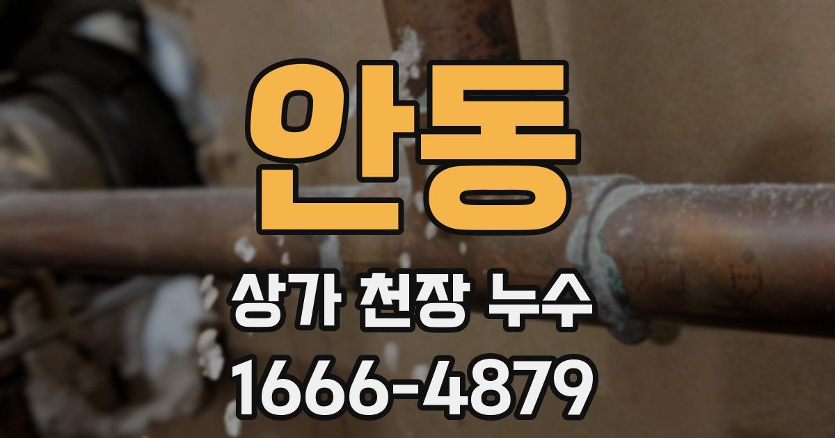 안동 상가 천장 누수